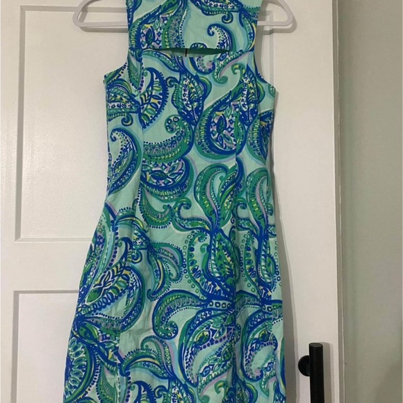 Lilly Pulitzer Shift Dress - Picture 2 of 3